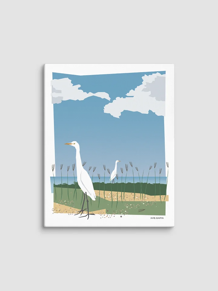 Cattle Egrets product image (2)
