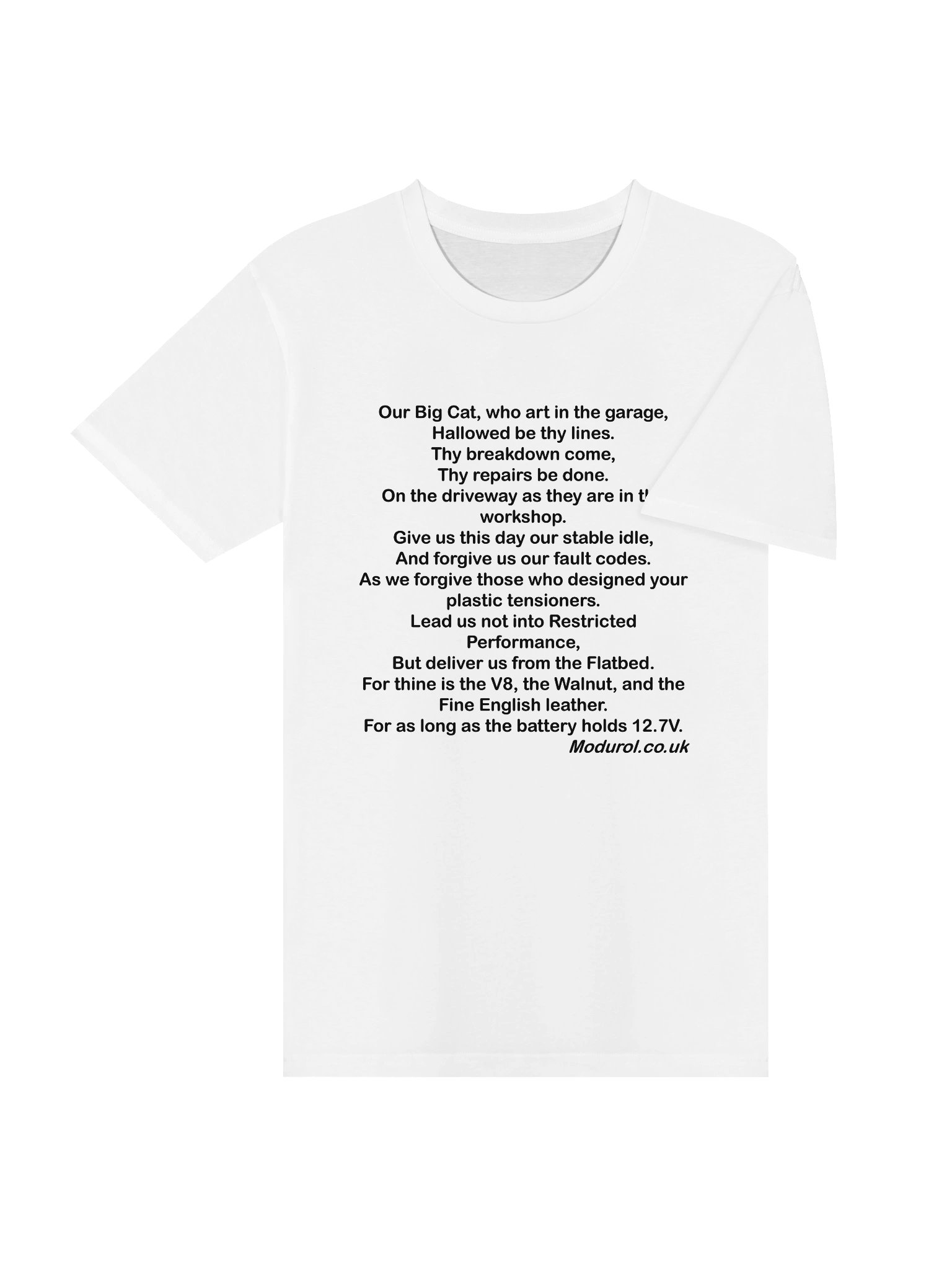 Modurol Premiere Contributor - Big Cat Prayer T Shirt product image (4)