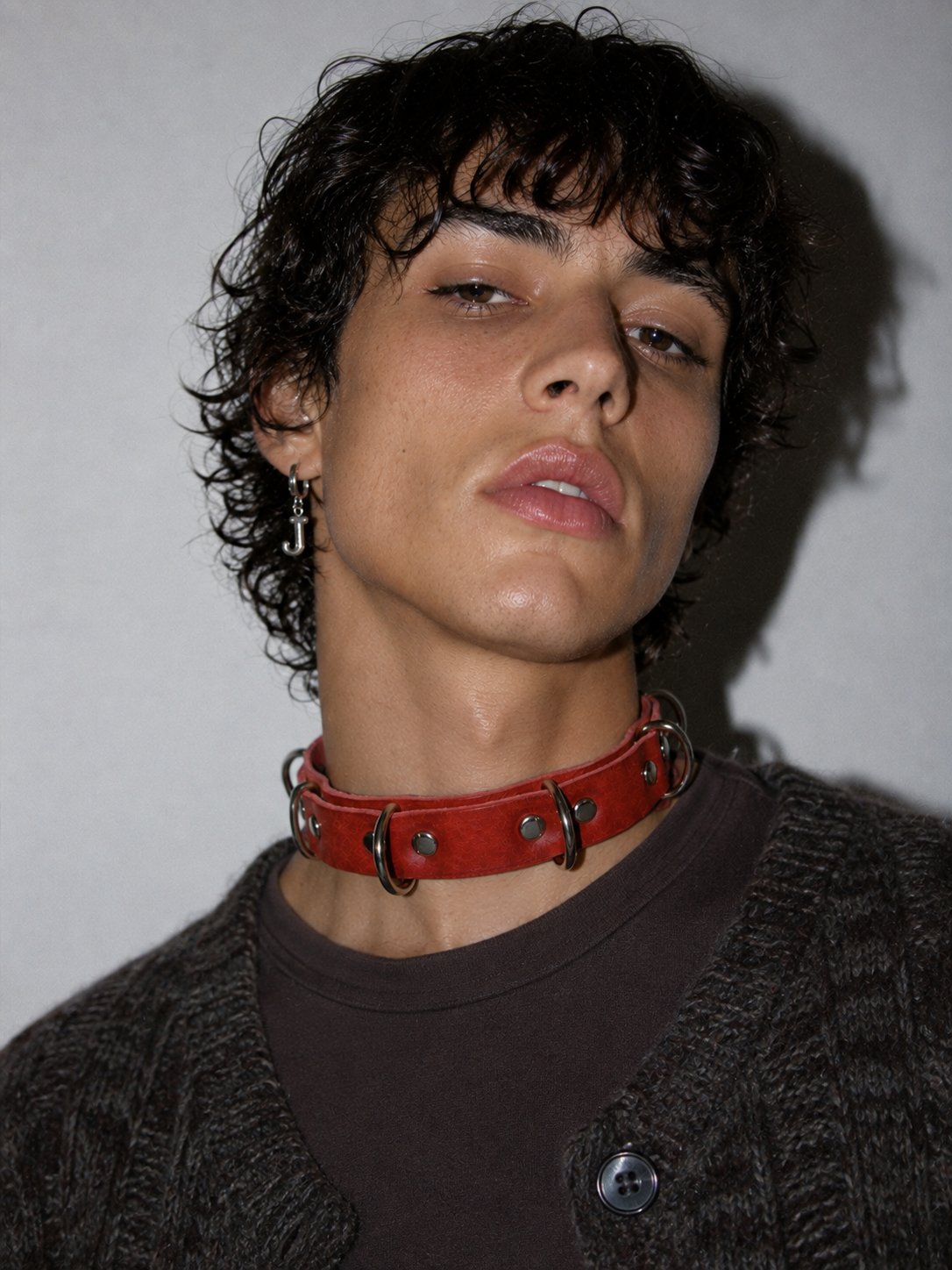 Lil Pup Collar product image (1)