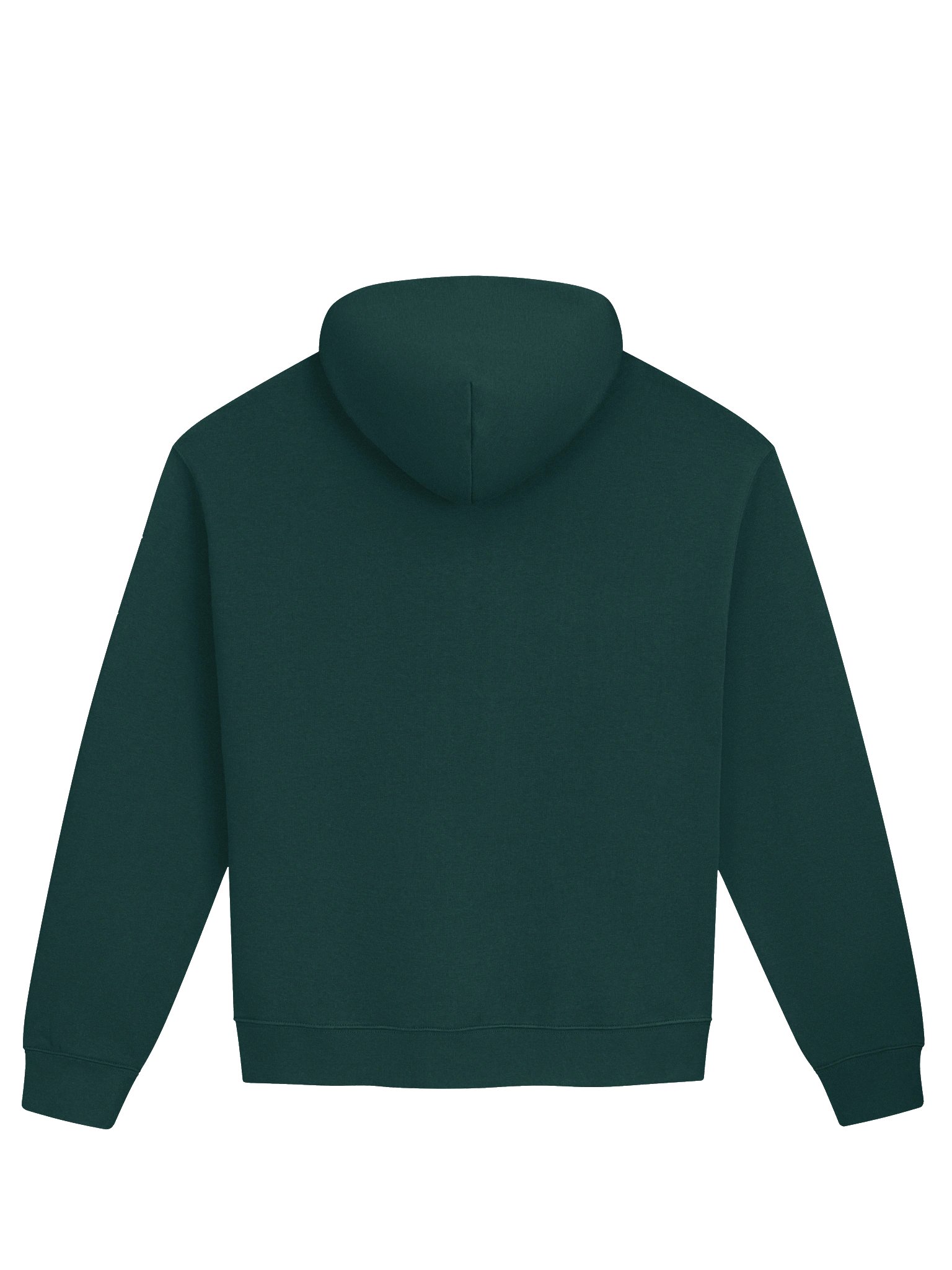 RICH – Risk Stylized Hoodie product image (3)