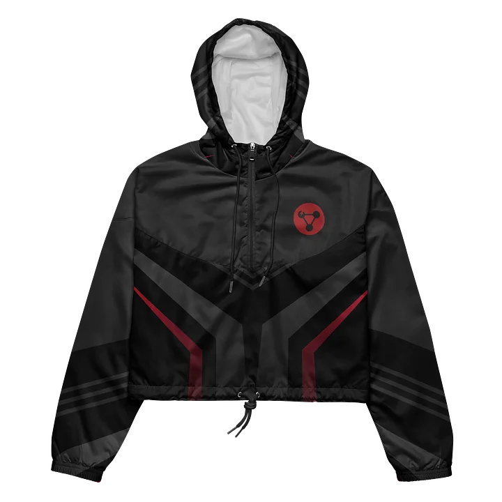 Bad Chemistry: Wind Crop Hoodie product image (1)