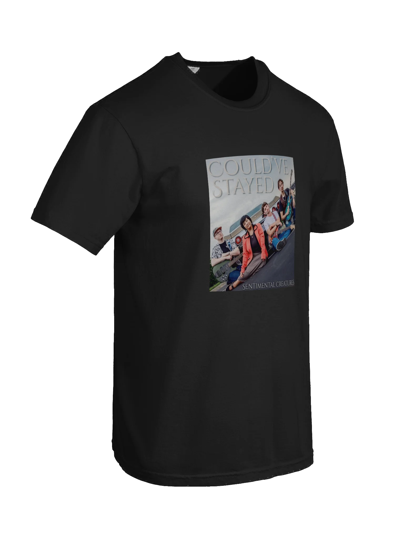 Could've Stayed SINGLE ART Tee product image (24)