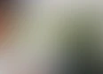 Soil to Leca's tag thumbnail