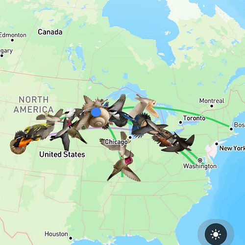 Look the amount of joy I’ve had sending messages to friends at actual carrier pigeon speed on this Roost social app the last ...