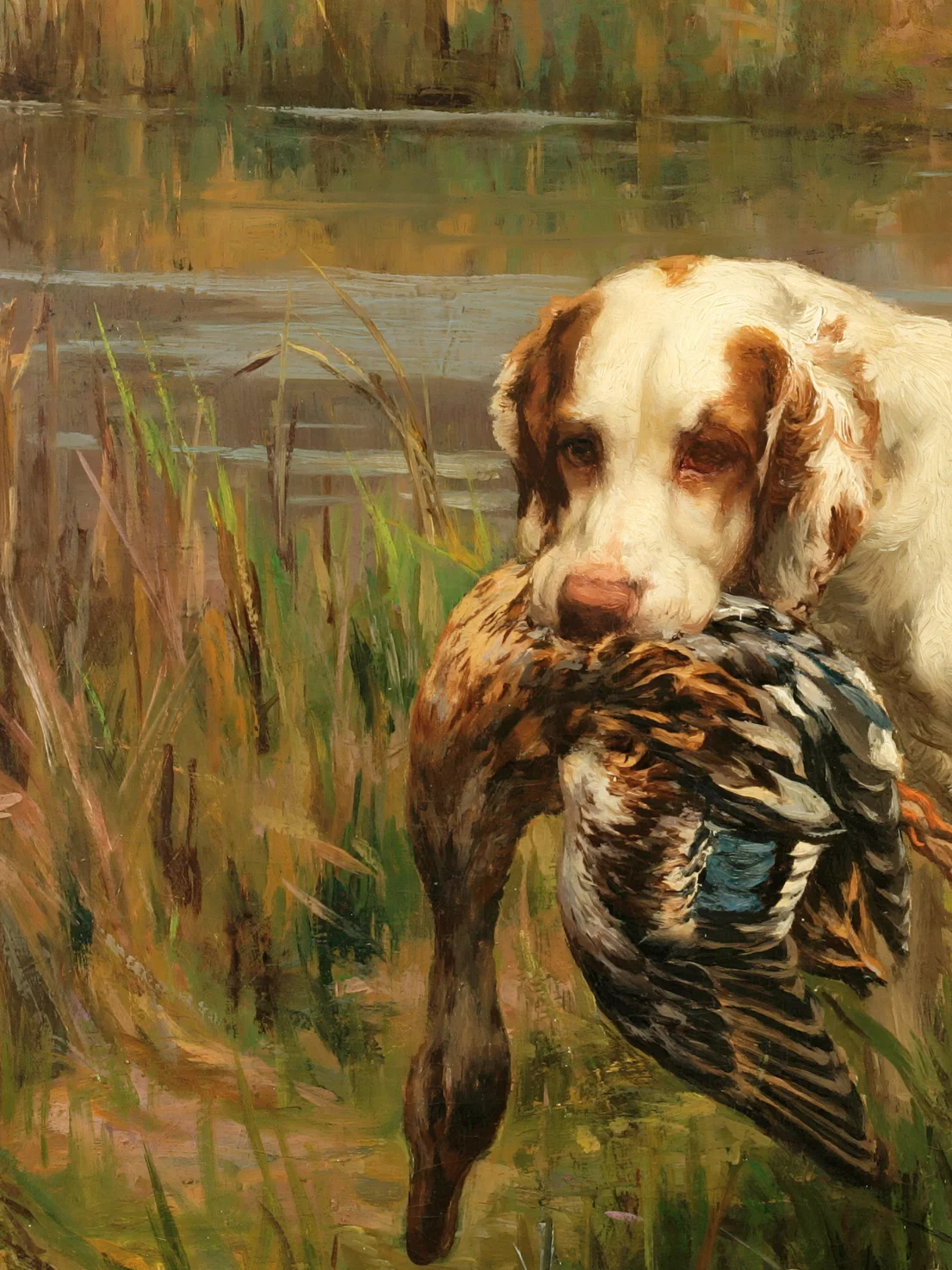 Antique Louisiana Duck Hunting Dog Canvas Print product image (3)