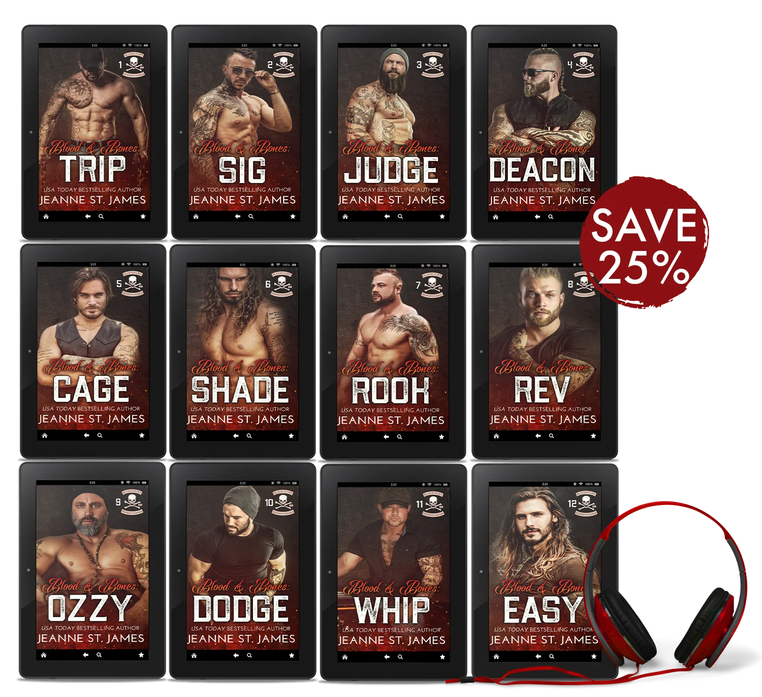 Blood Fury MC Audiobook Bundle product image (1)