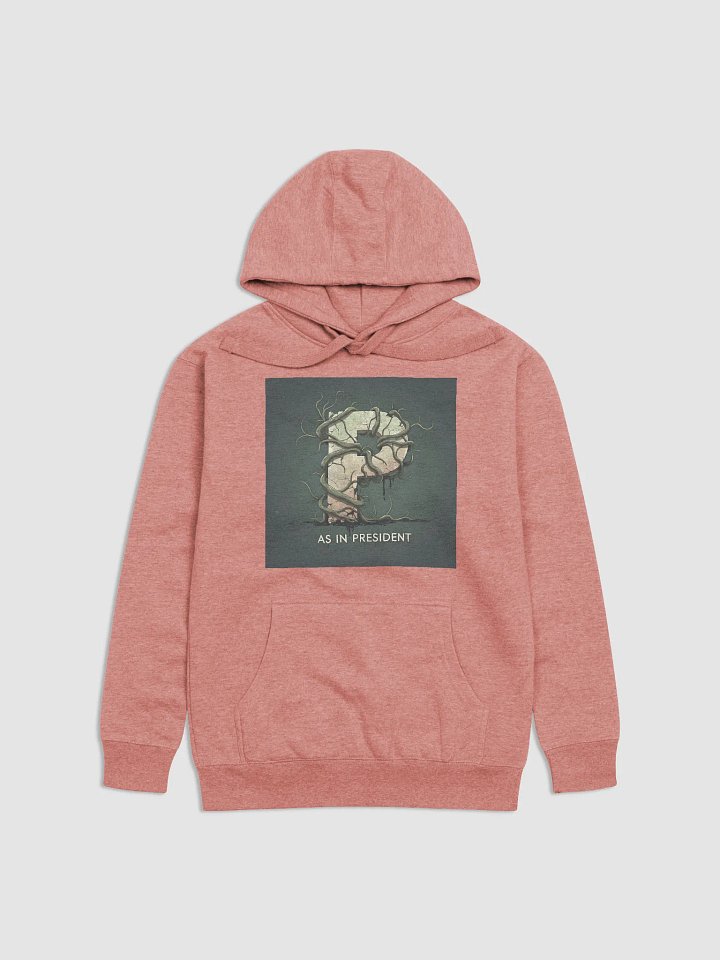 P as in president cotton unisex premium hoodie by dark alphabet product image (1)