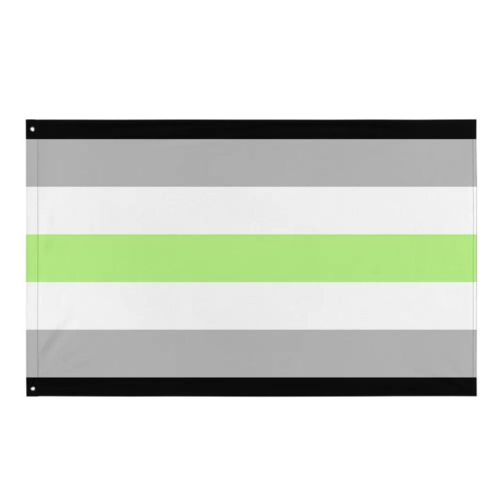Agender Flag product image (1)