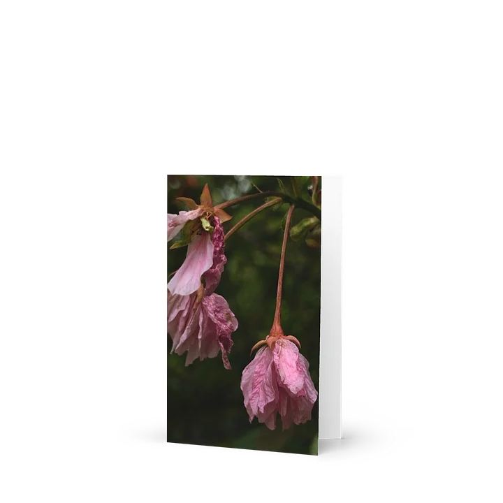 wilted cherry — from "holding" | art print | eza | casa de karma product image (1)