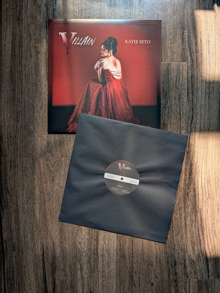 "Villain" Vinyl Record product image (1)