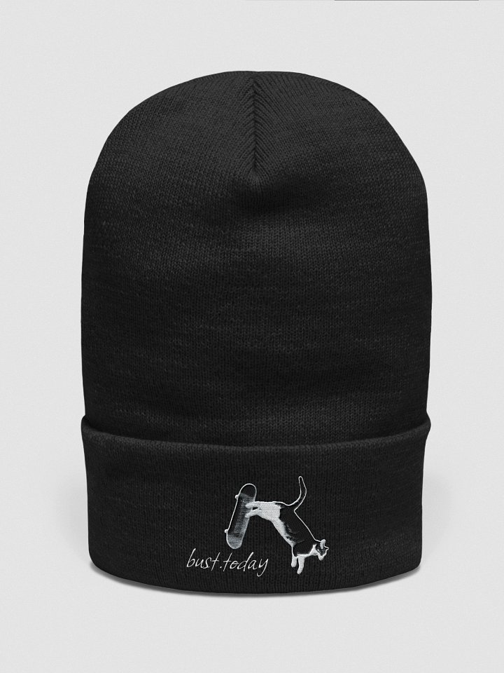 Skate or Bust [Beanie] product image (1)