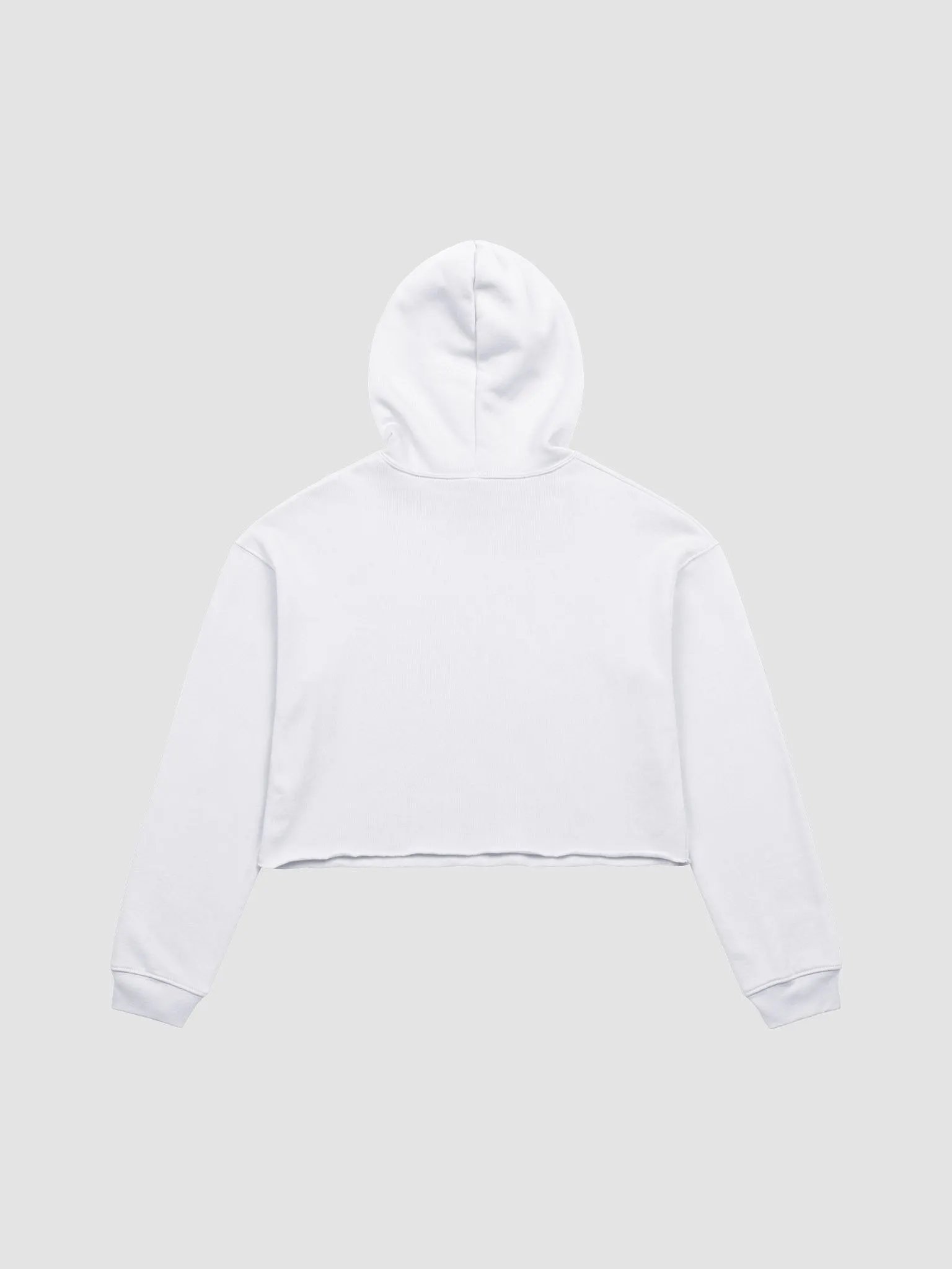 Kingdom Lights Tee – Disney Magic Crop Hoodie Inspired by Taylor Swift product image (2)