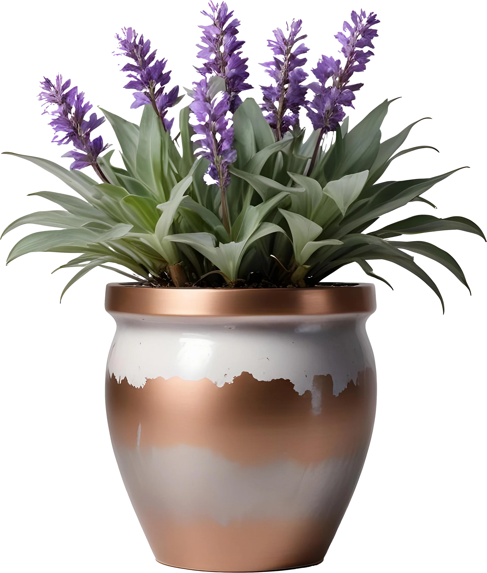 Set of 6 Provence-Inspired Objects, PNG product image (3)