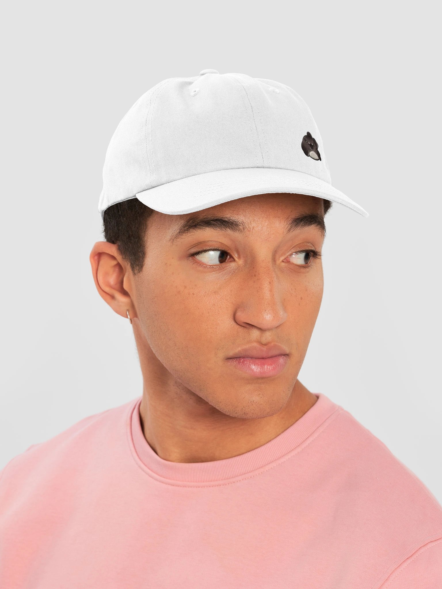 Biccy Hat product image (49)