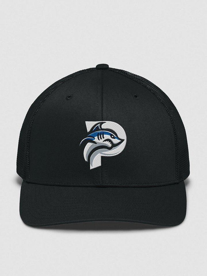 Paytonics Logo SnapBack Hat! product image (4)