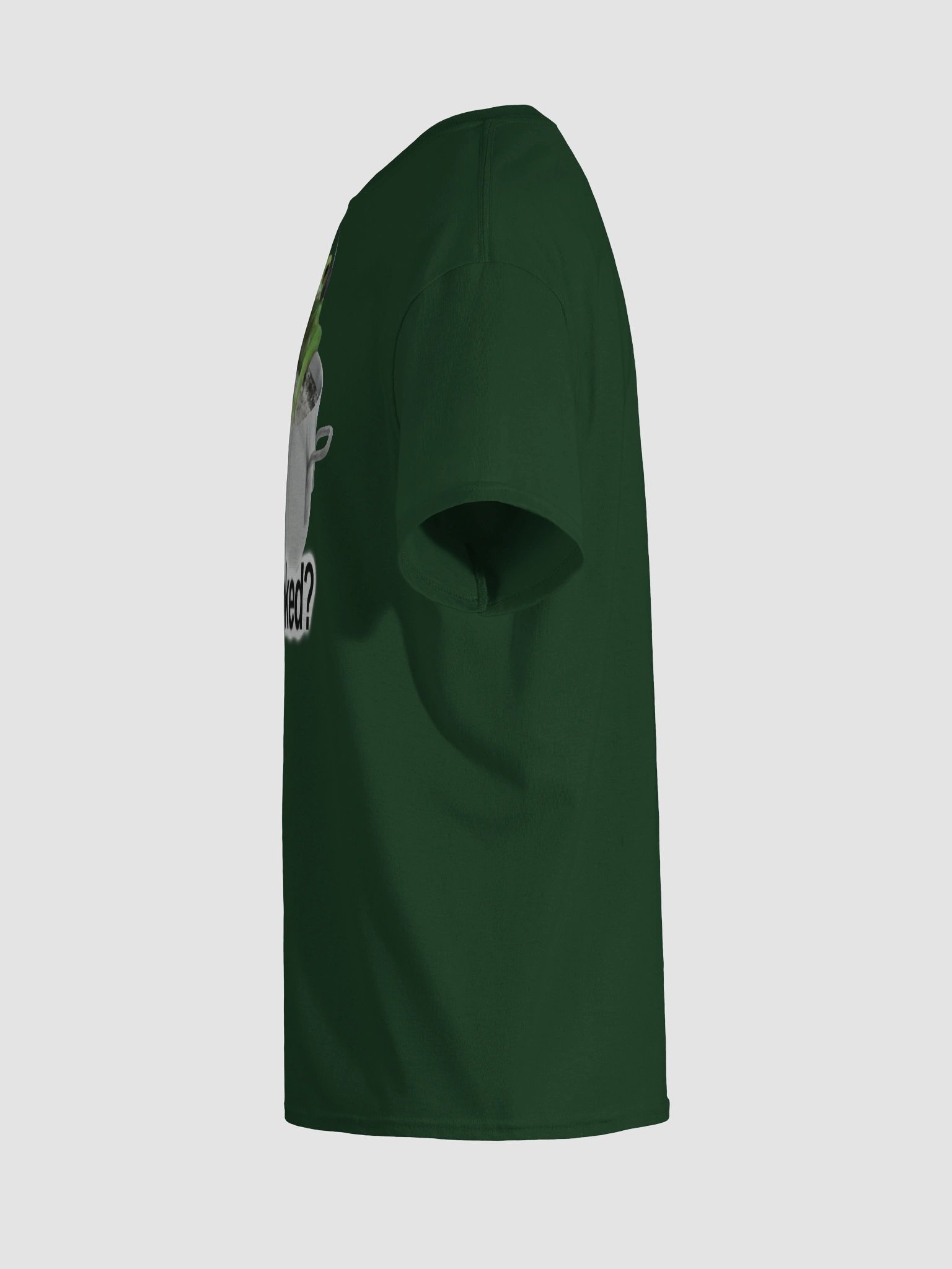 Chat Am I Cooked Frog T-shirt product image (11)