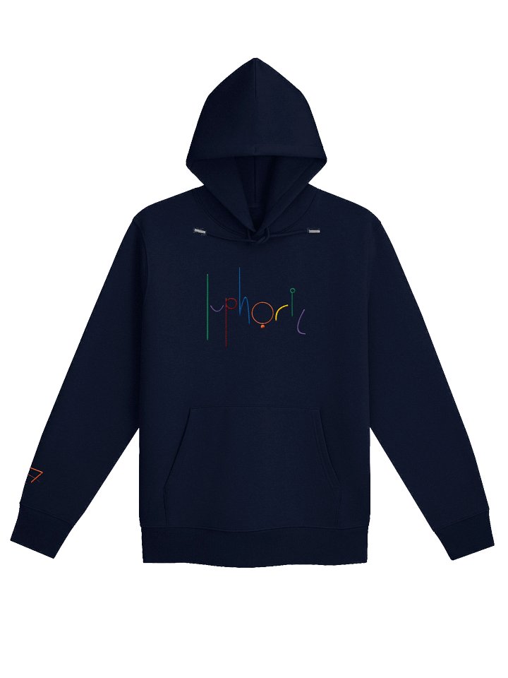 Playground Hoodie | Embroidered | product image (2)
