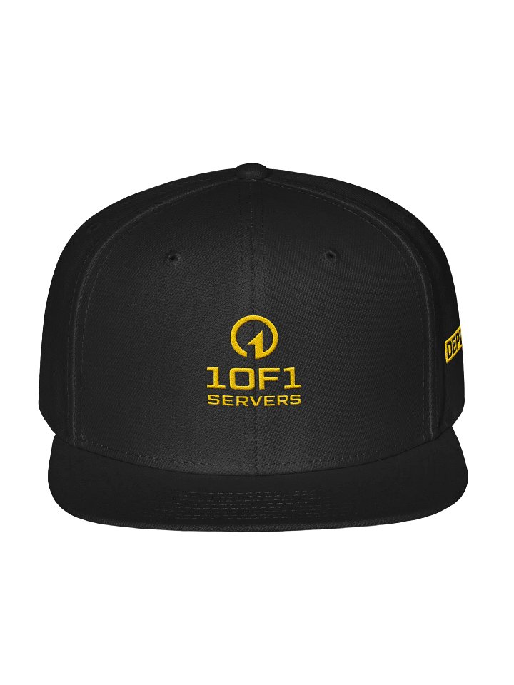 1OF1 Snapback Hat - Online w/ Logo product image (2)