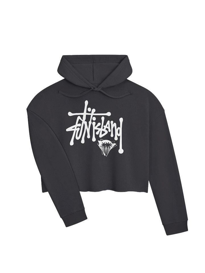 STUSSY CROP TOP HOODIE product image (2)
