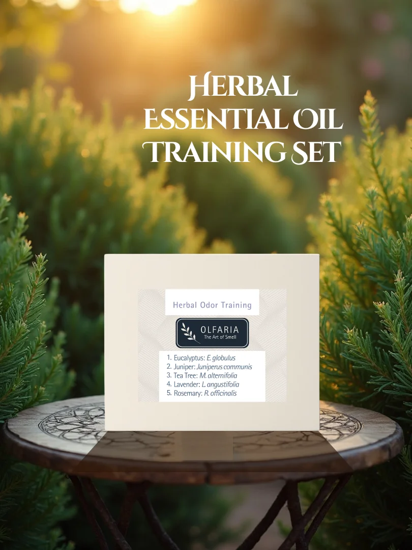 Olfaria Herbal Odor Training Kit | 5 Single-Note Essential Oils | Scent Education | Train Your Nose product image (1)