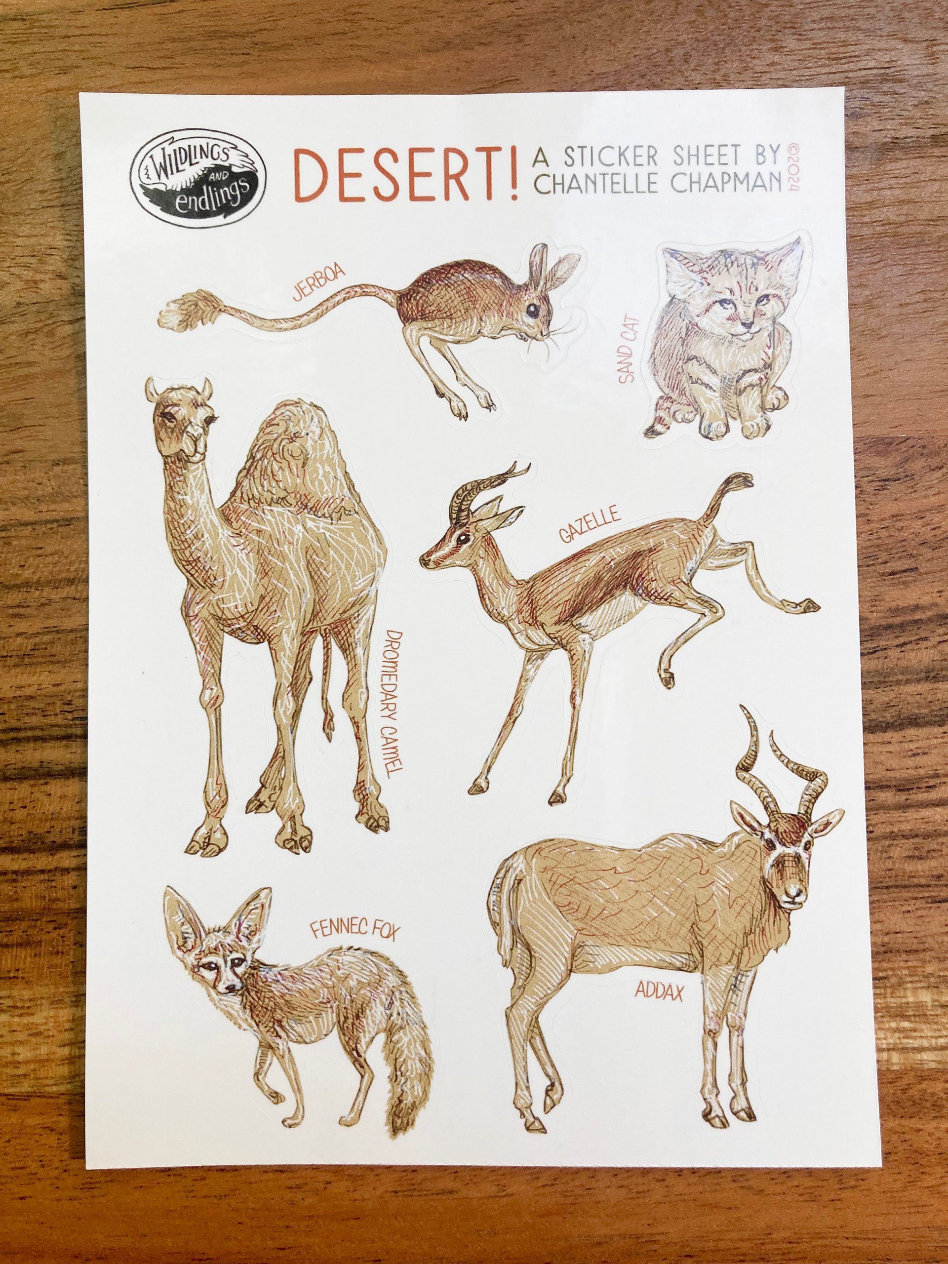 Desert! Sticker Sheet product image (2)