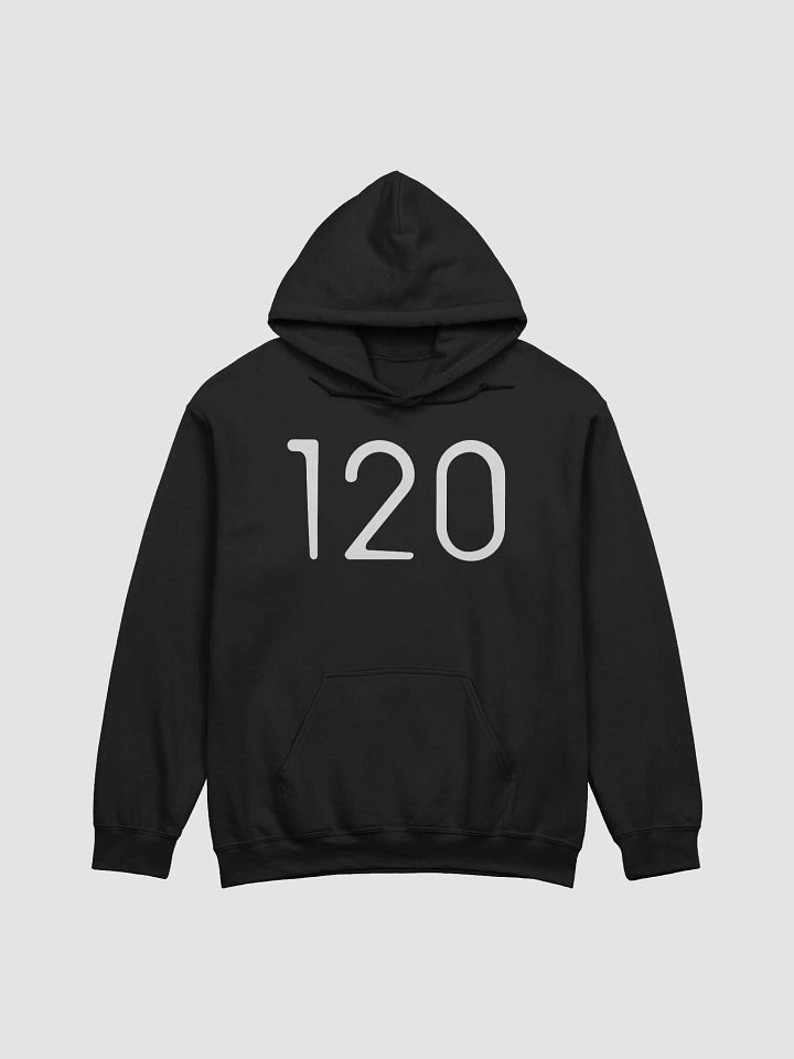 120 LOVE - HOODIE product image (1)