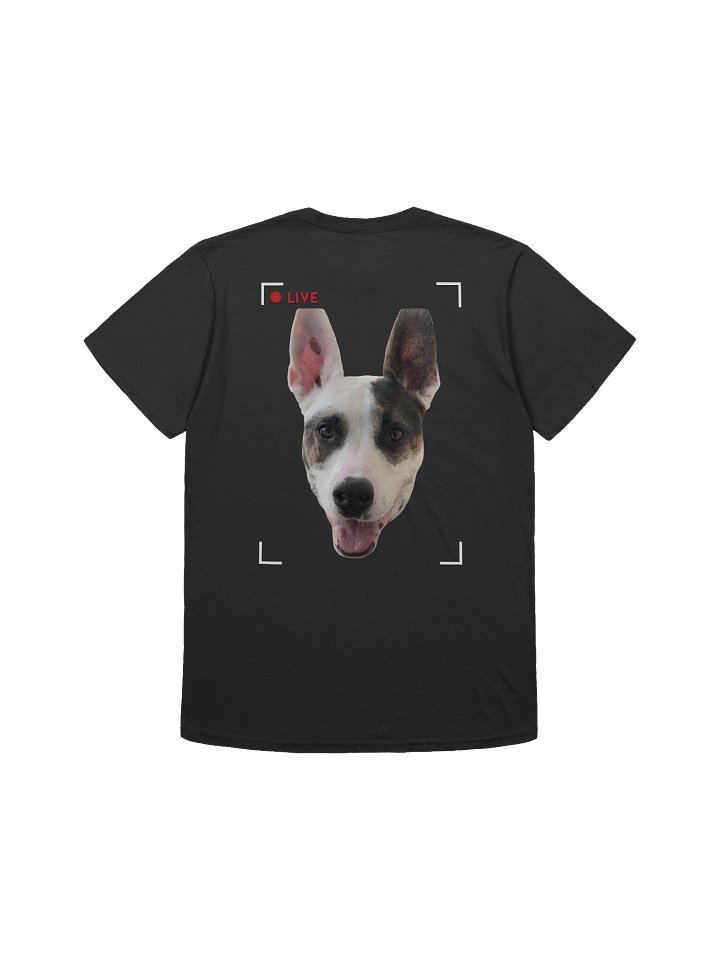 Sagey Tee product image (18)