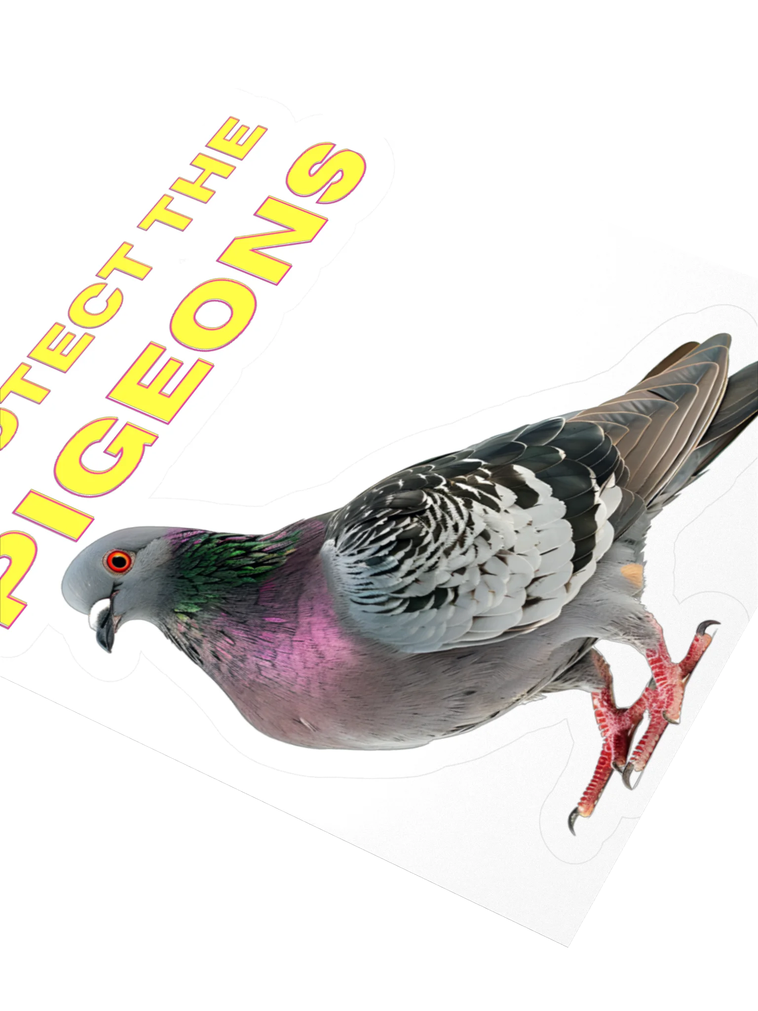 Protect The Pigeons Sticker product image (3)