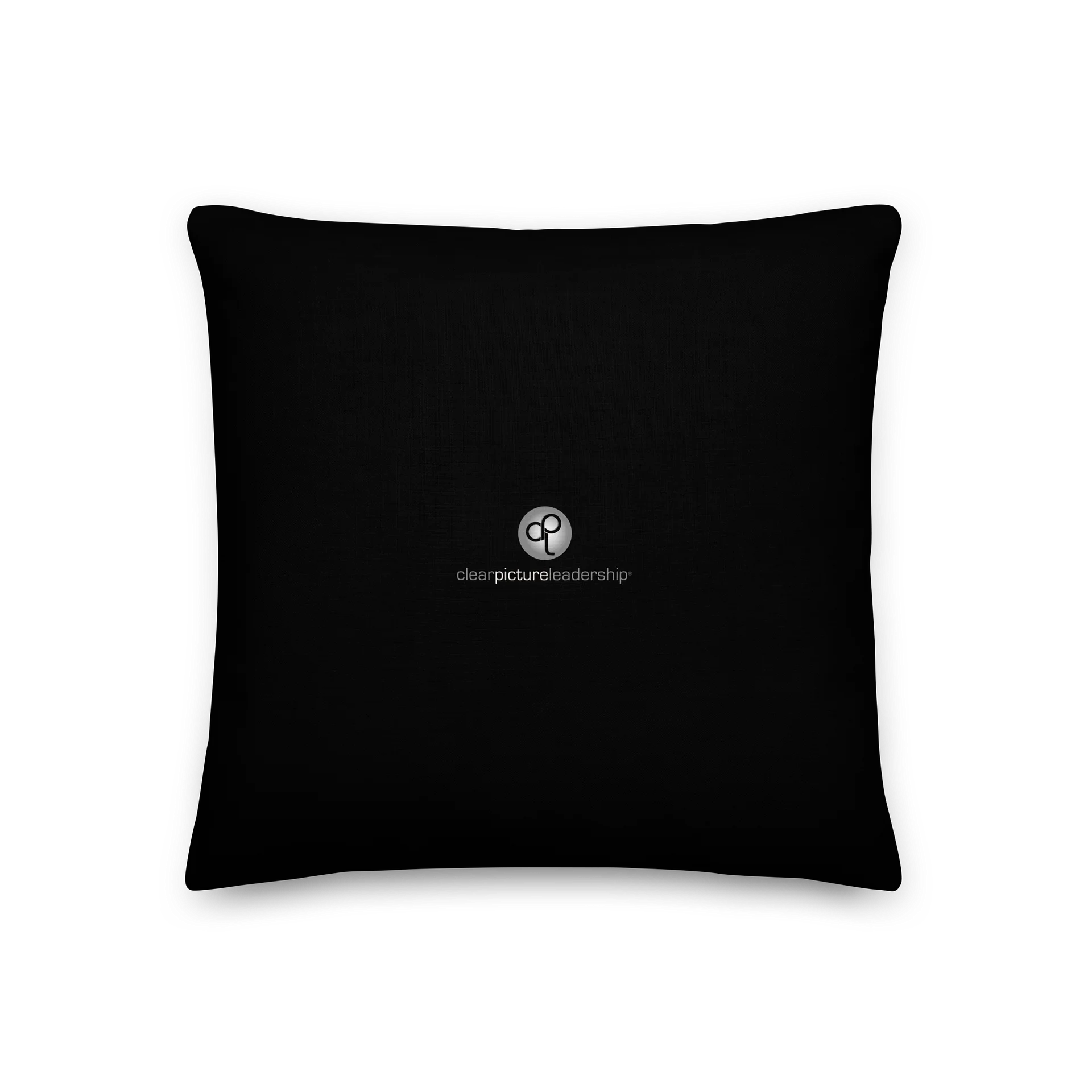 Change Maker Throw Pillow | Modern Luxe Executive Office Decor | Clear Picture Leadership® product image (2)