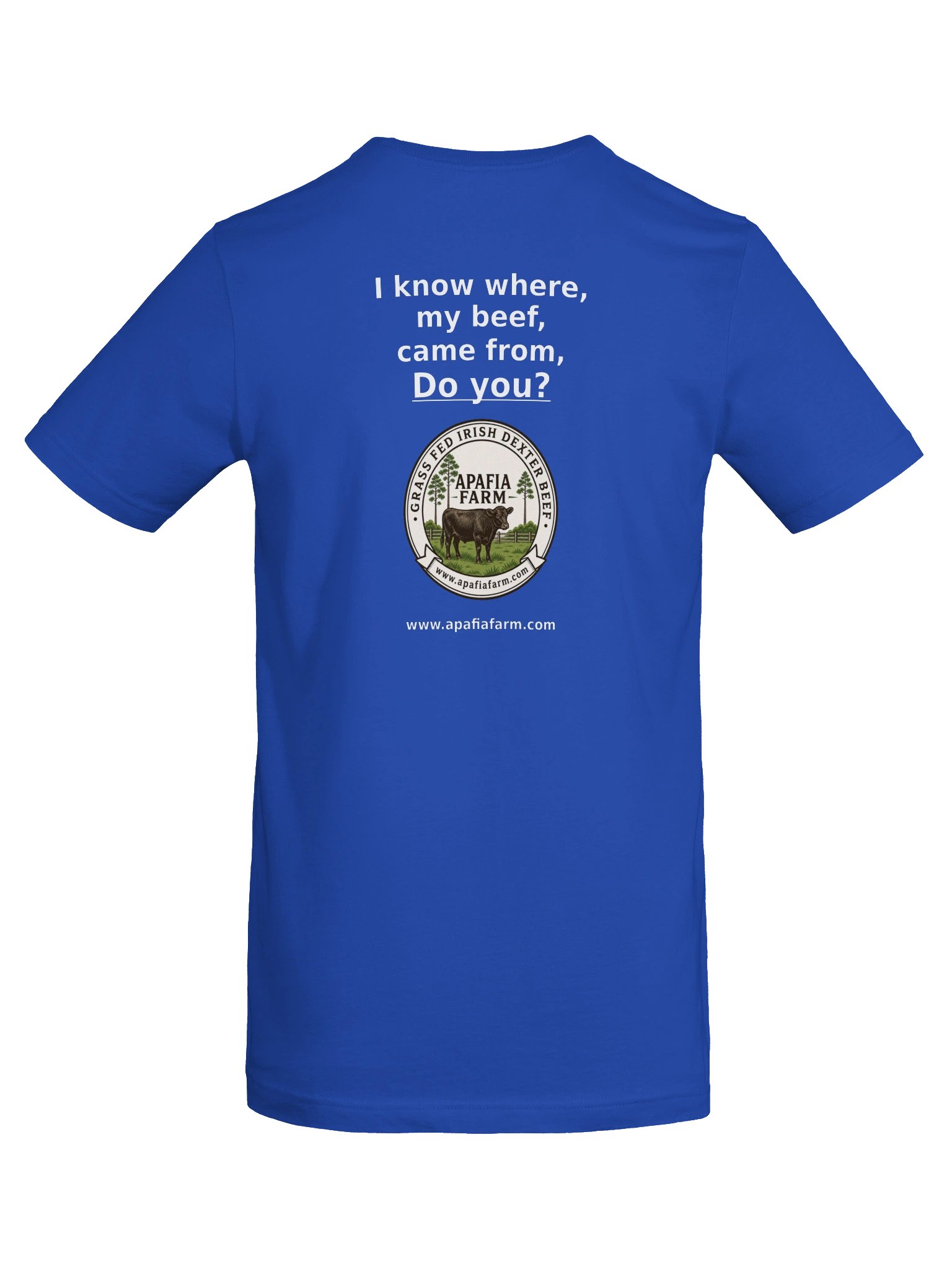Apafia Beef Tee B3 (Draft) product image (6)