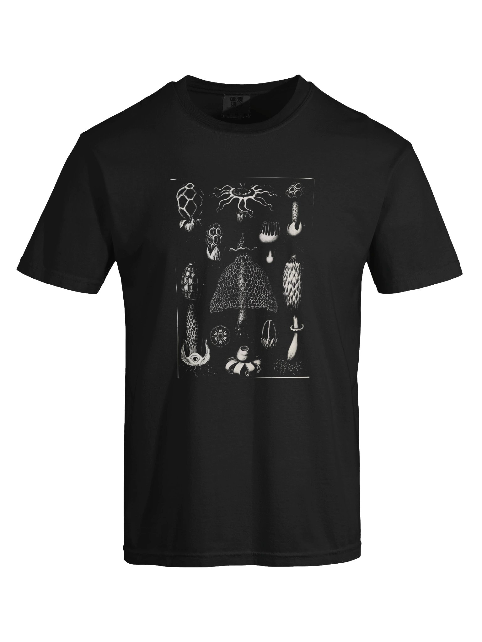 Stinkhorn Fungi Vintage Scientific Illustration T-Shirt product image (5)