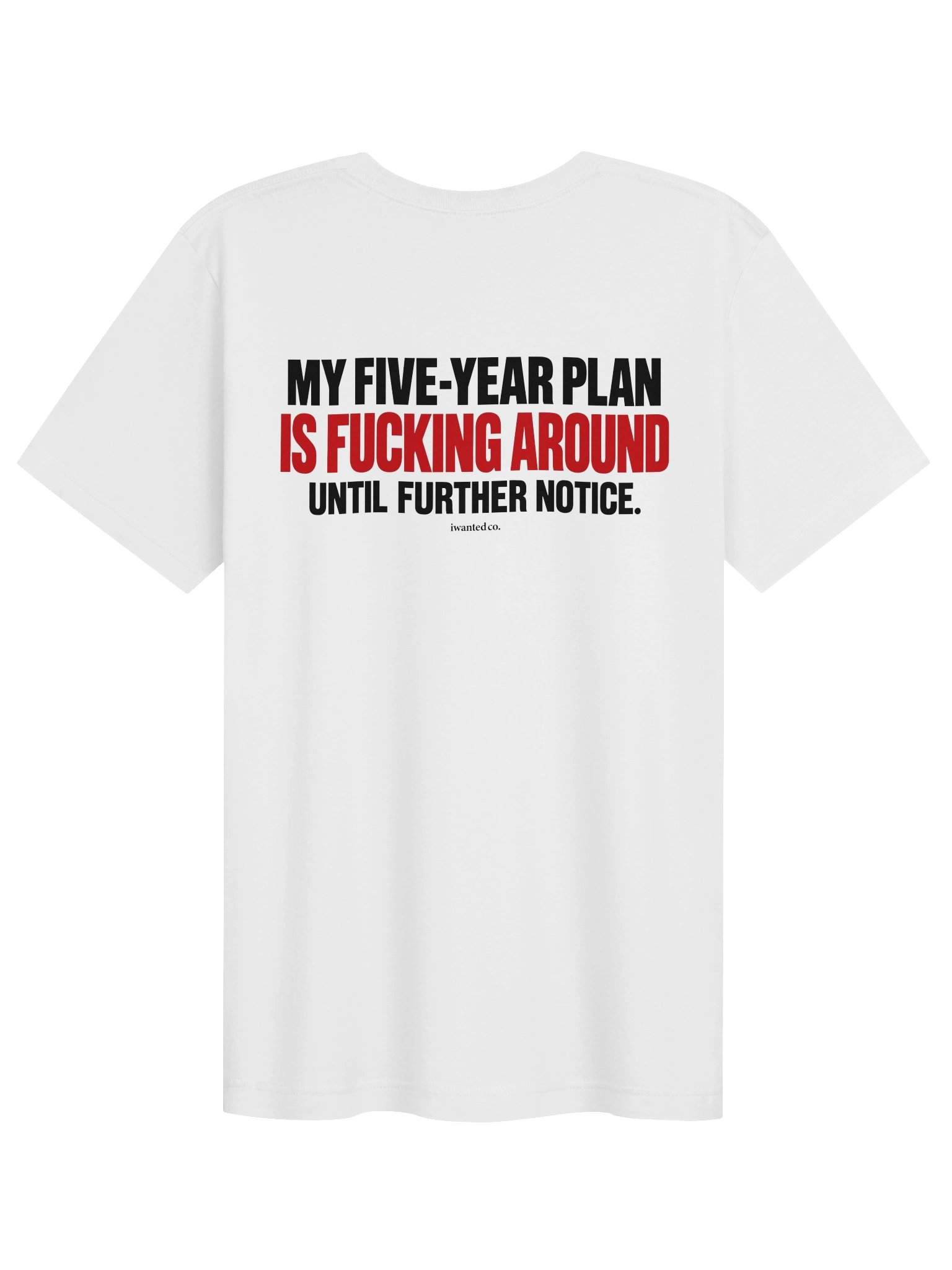 My Five-Year Plan Is Fucking Around Tee product image (1)