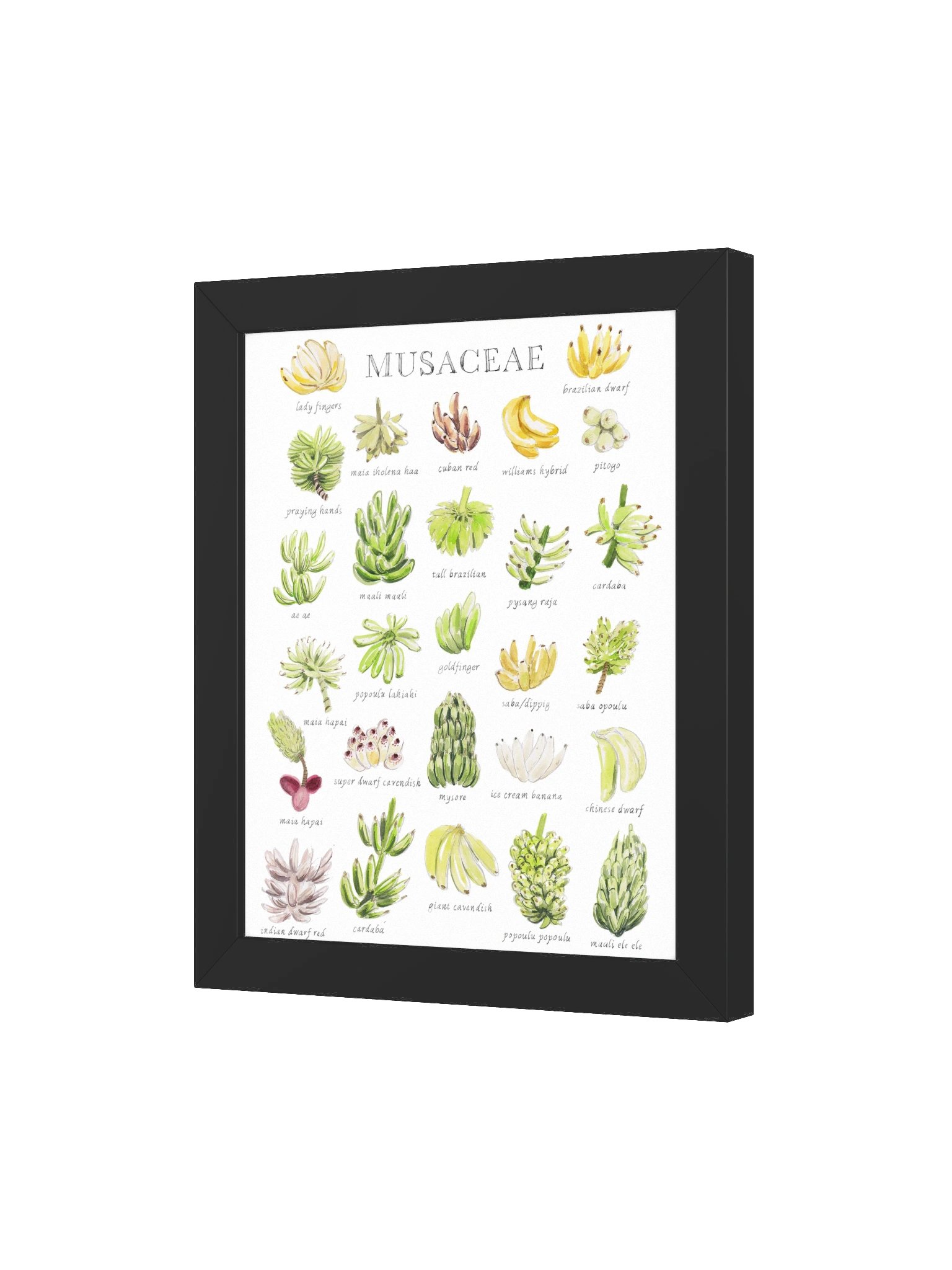 bananas product image (48)