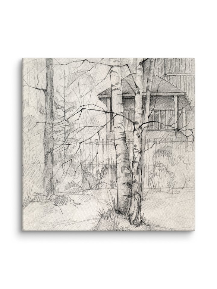 Blank Canvas: Unleash Your Artistic Vision - Dacha and Trees product image (2)