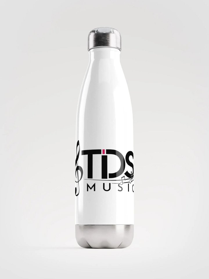 TDS Music Insulated Stainless Steel Water Bottle - 17oz, White product image (1)