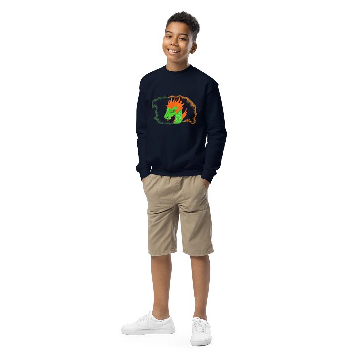 Dragon's Breath Youth Sweatshirt product image (1)