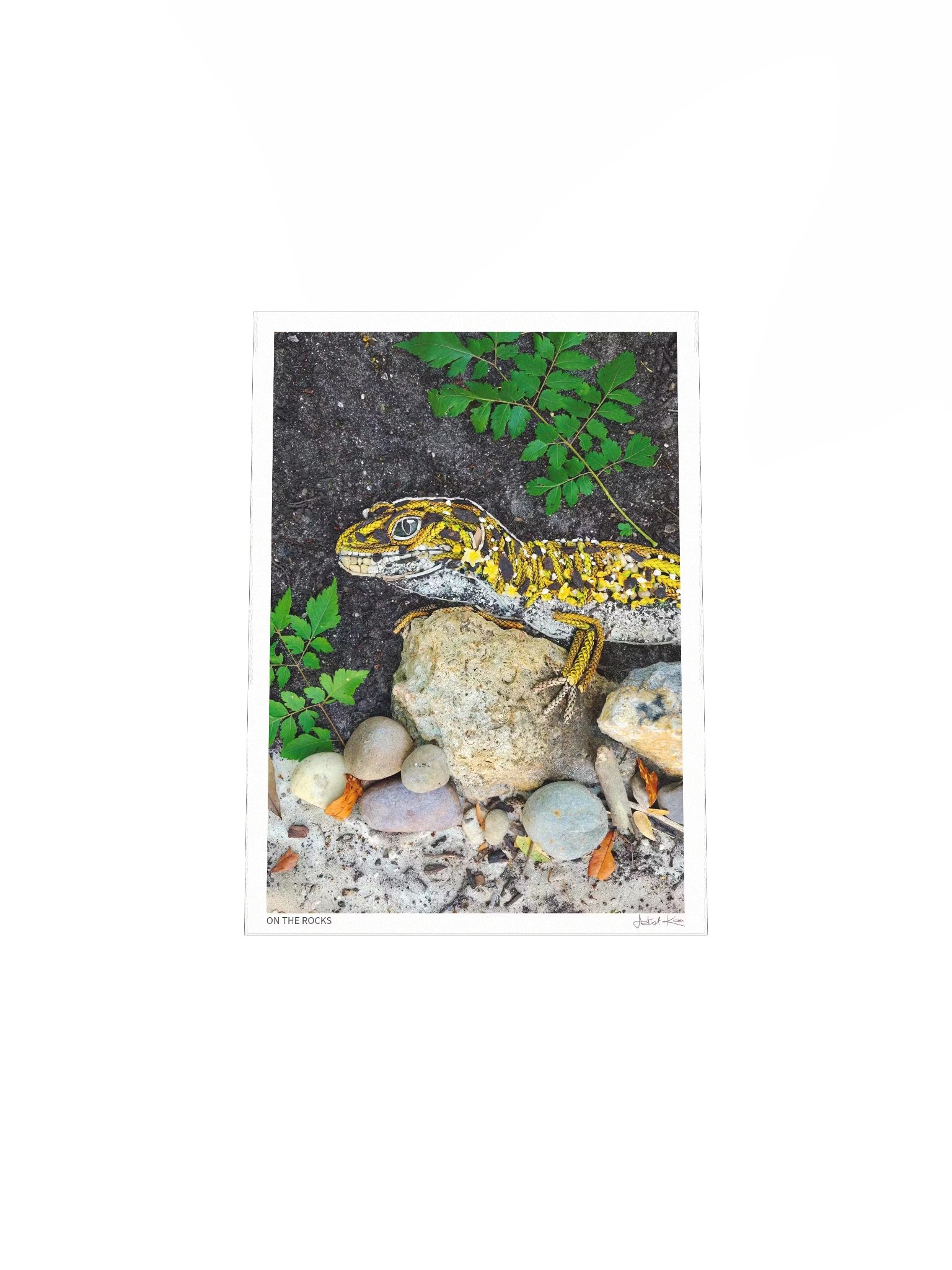 ON THE ROCKS | Fine Art Print product image (5)
