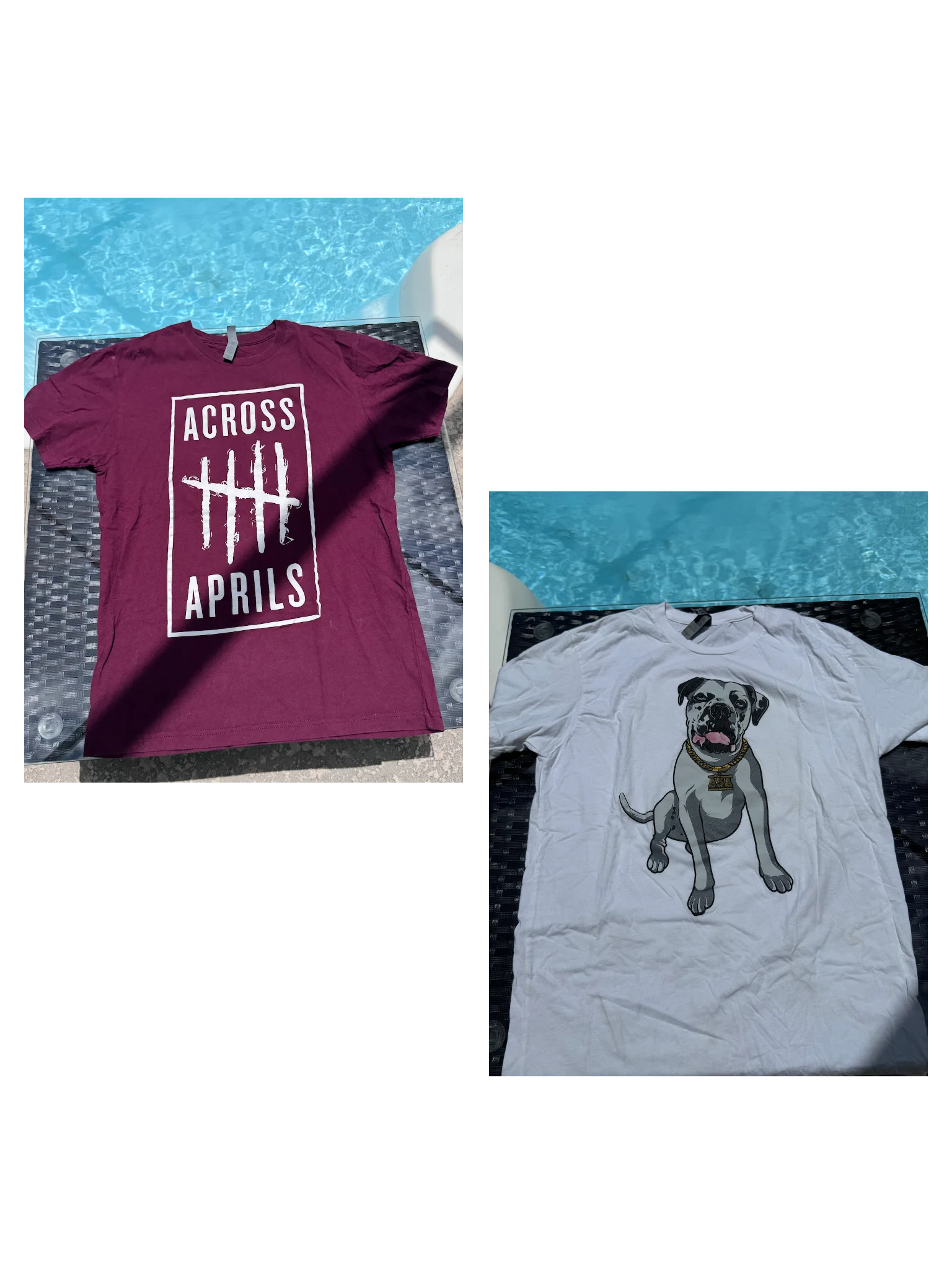 BOGO 2026 Bundle 5 product image (1)