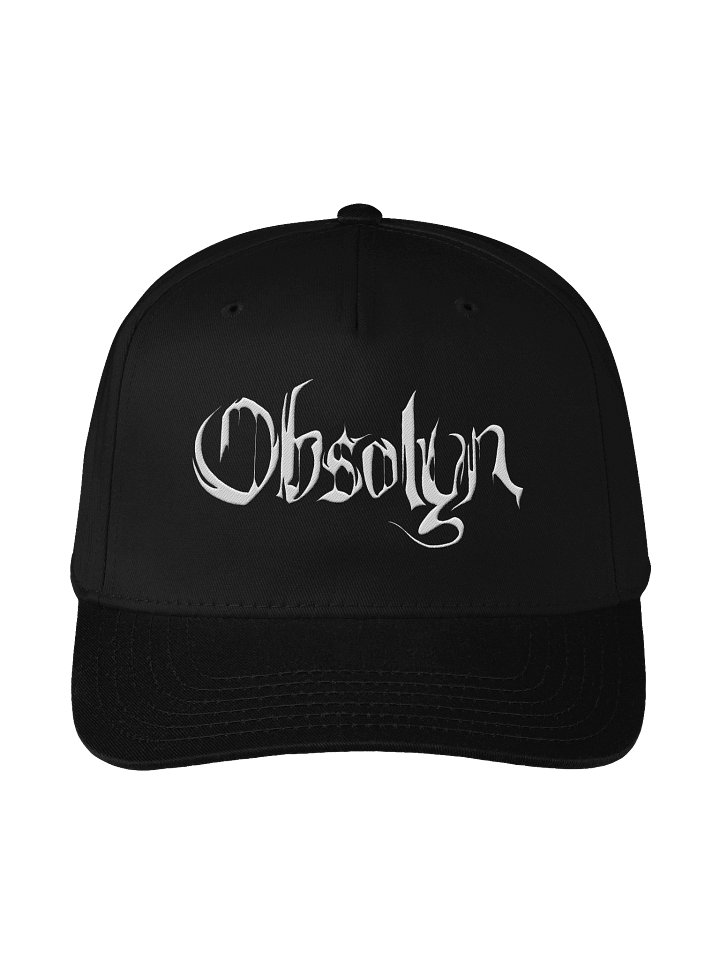 Embroidered Baseball Hat product image (1)