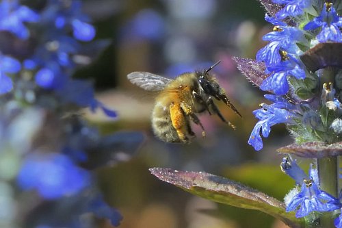 Nature knows no spring fatigue, no worries and no 