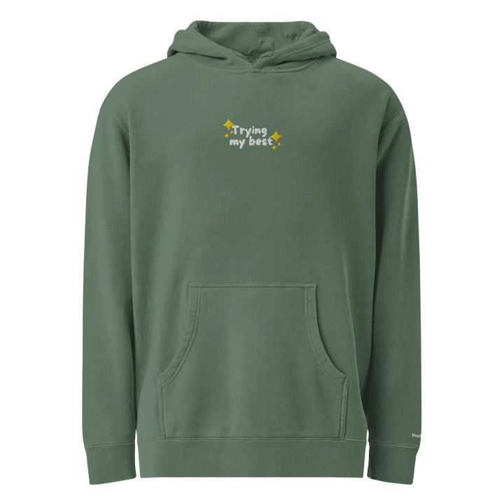 trying my best embroidered product image (18)