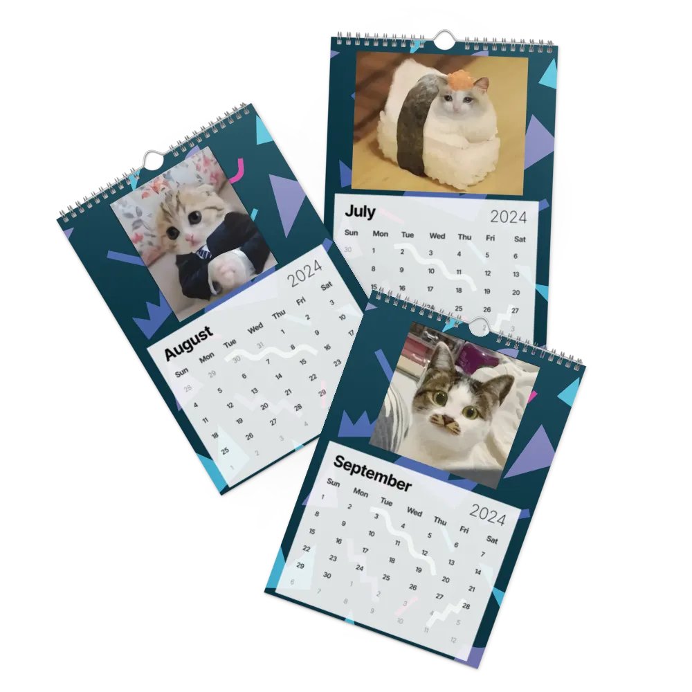 Wall Calendar (2024): Meme Cats product image (11)
