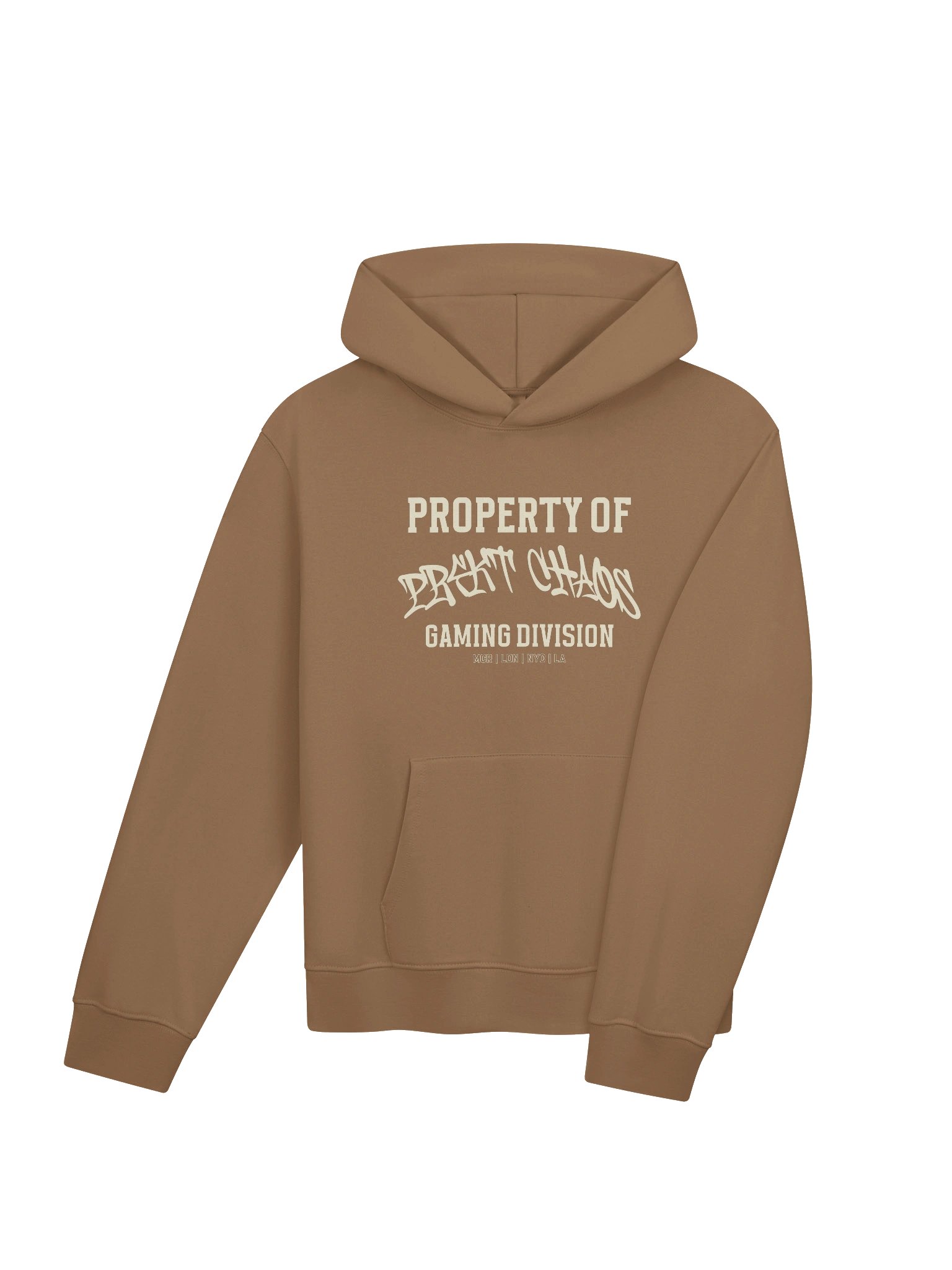 Gaming Division Hoodie - Vintage Brown product image (4)