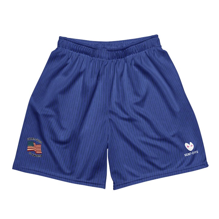 World Cup Underdog Project - USA Shorts product image (1)