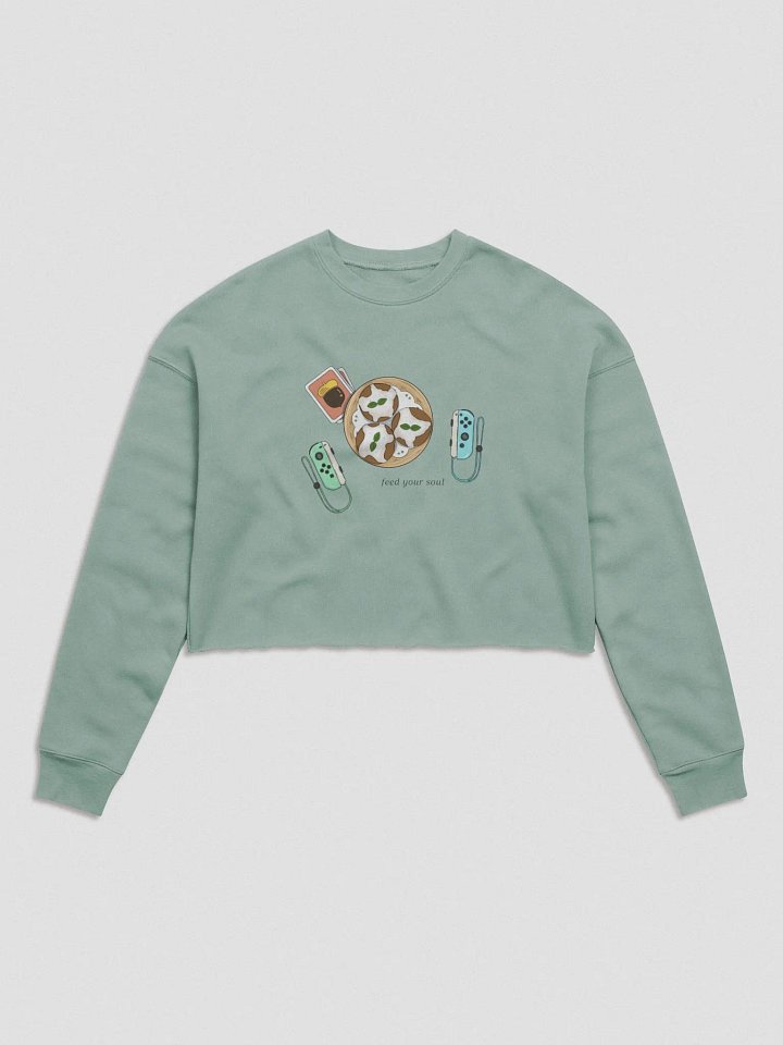 Feed Your Soul (Crop Sweater) product image (2)
