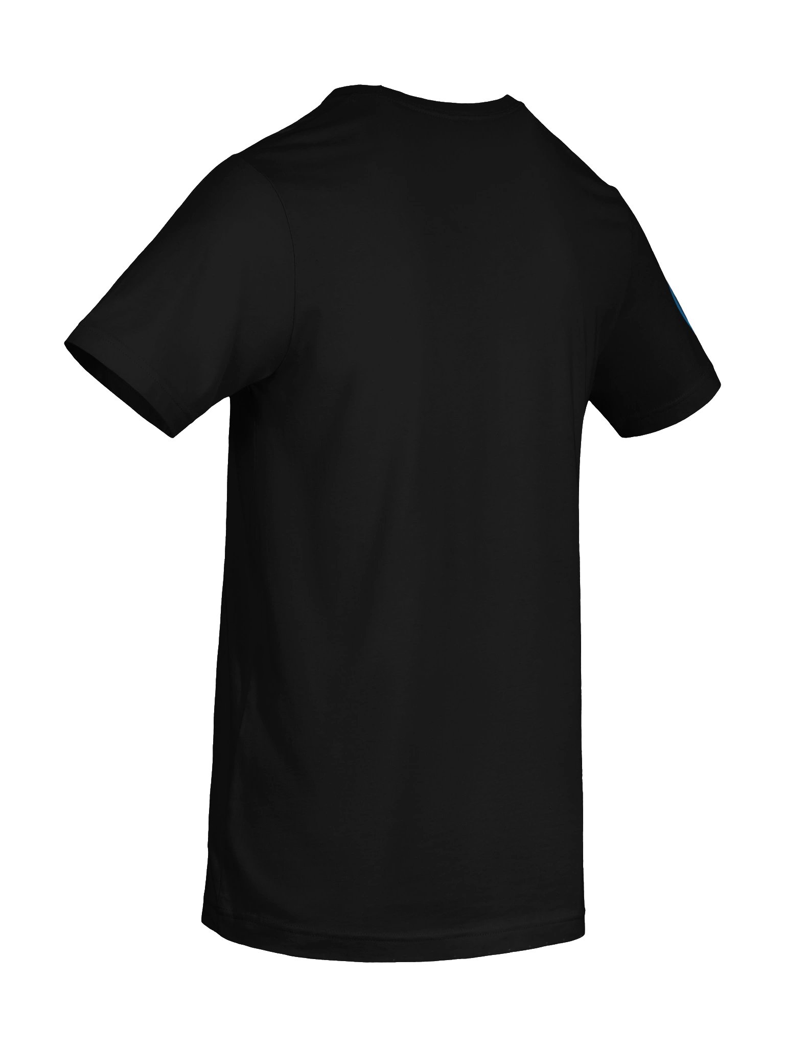 Tiger Fury Neon Logo (Printed) Alt Tee product image (82)