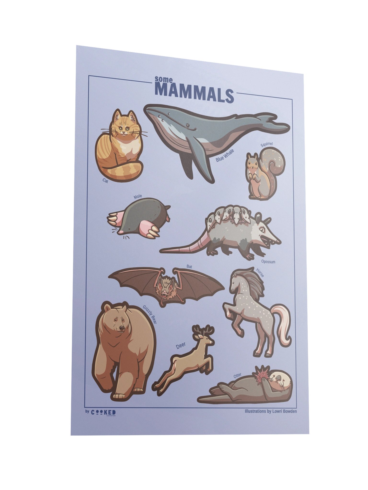 An Abundance of Mammals Poster - 10 Illustrated Mammals - Original Illustrated Poster product image (4)