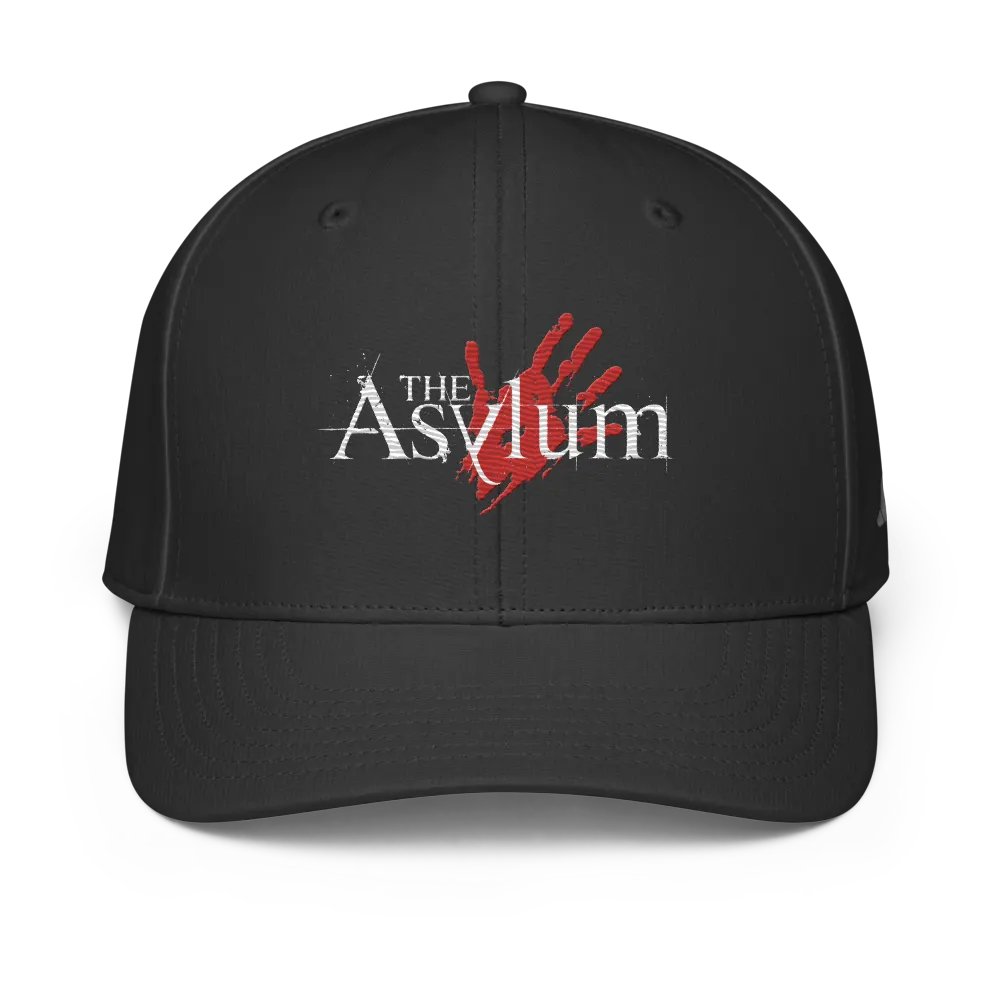 The Asylum product image (1)