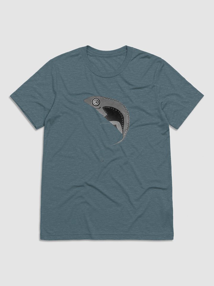 Chameleon Dreams - Tri-Blend Tee product image (6)