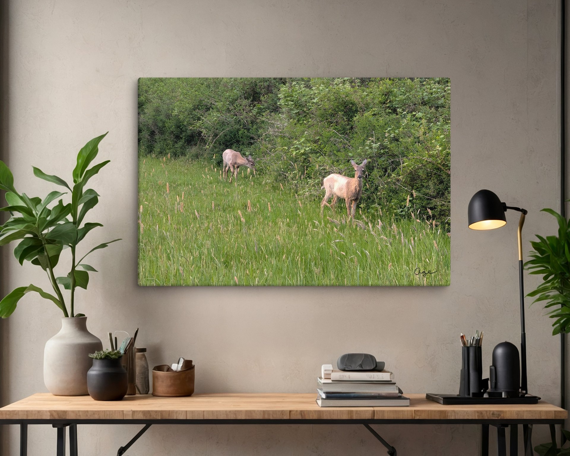 Wild Grounds product image (3)